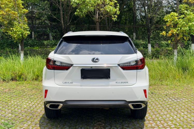 Used Lexus RX 2016 300 Two-Wheel Drive Elite Version China V Standard Exterior 6