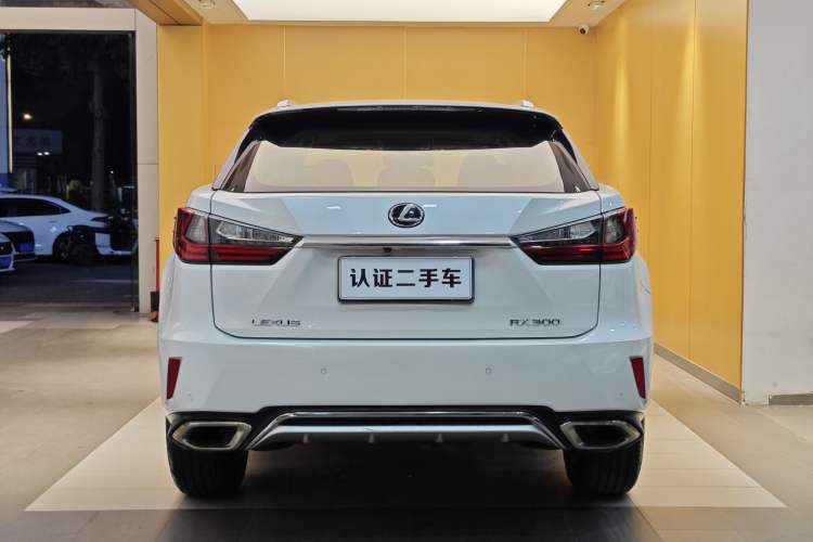 Used Lexus RX 2016 300 Two-Wheel Drive Elite Version China V Standard Exterior 8