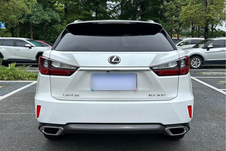 Used Lexus RX 2016 300 4x4 Elegant Edition China V-standard Exterior 9