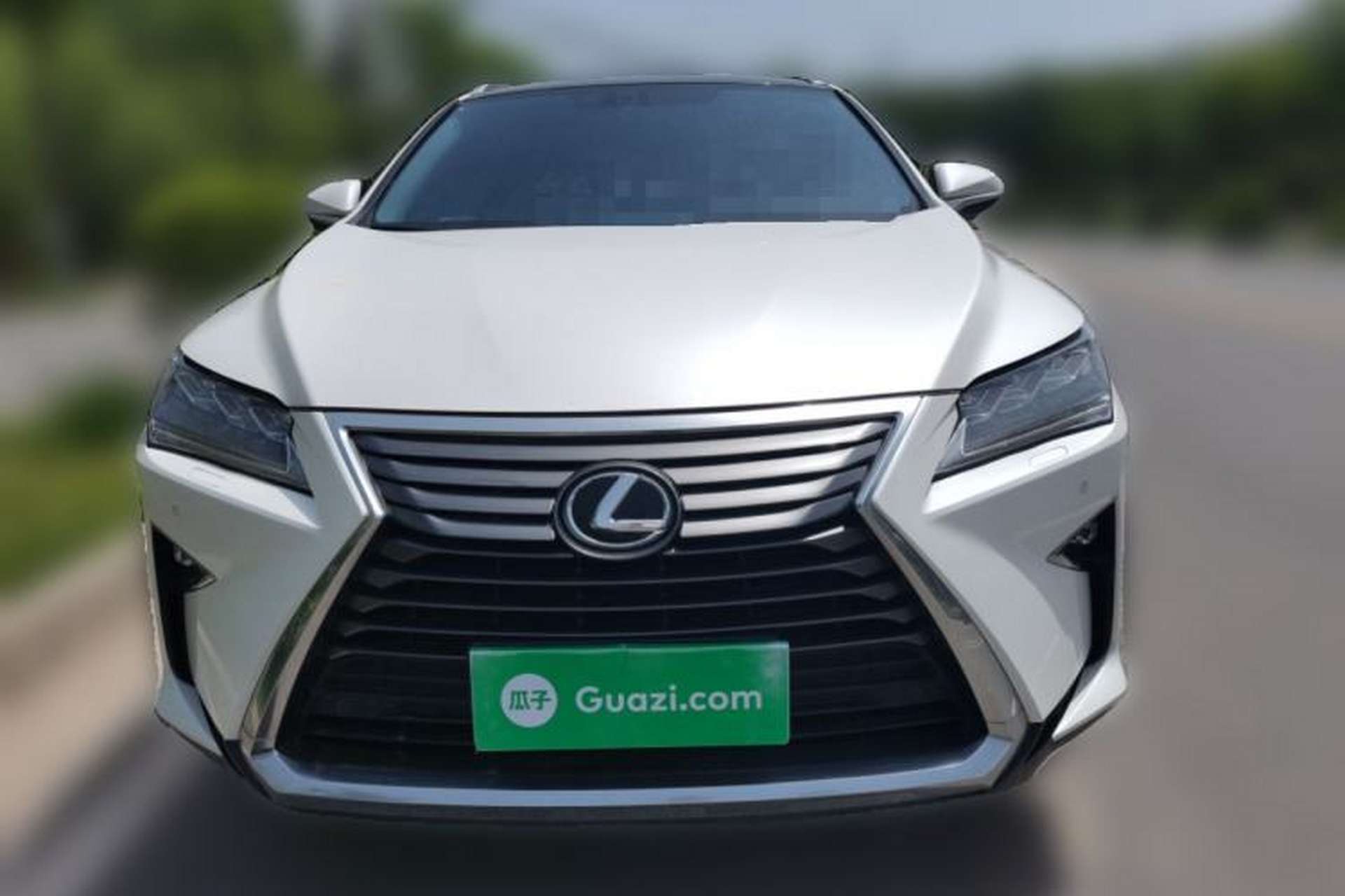 Used Lexus RX 2016 300 4x4 Elegant Edition China VI Front