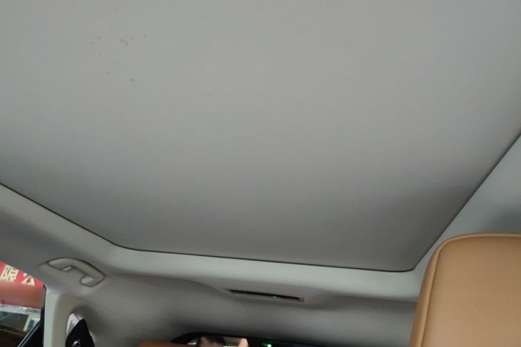 Used Lexus RX 2016 300 4x4 Elegant Edition China VI Headliner