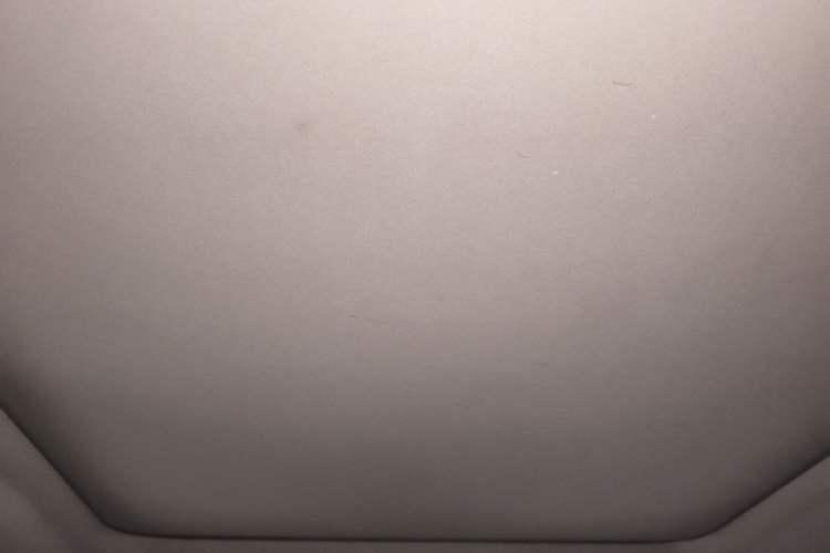 Used Lexus RX  Headliner