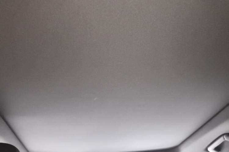 Used Lexus RX 2016 300 4x4 F SPORT Version China V Standard Headliner