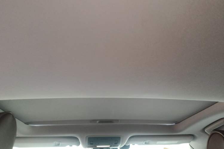 Used Lexus RX 2016 450h Four-Wheel Drive Elegant Edition Headliner