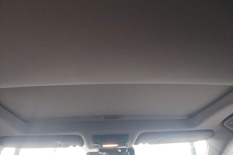 Used Lexus RX 2016 450h Four-Wheel Drive Elegant Edition Headliner
