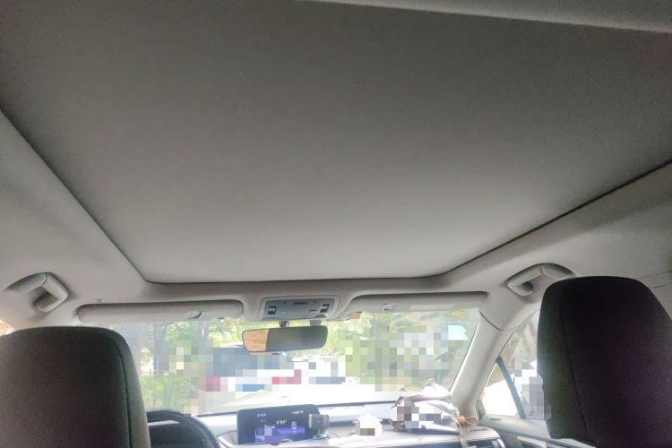 Used Lexus RX 2016 300 4x4 Elegant Edition China VI Headliner