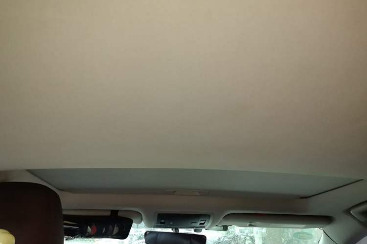 Used Lexus RX 2016 300 Two-Wheel Drive Comfort Edition China V Standard Headliner