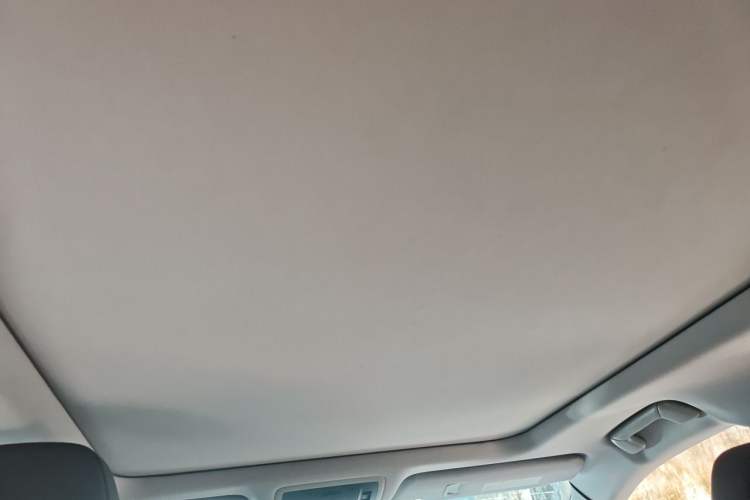 Used Lexus RX 2016 300 4x4 Elegant Edition China V-standard Headliner