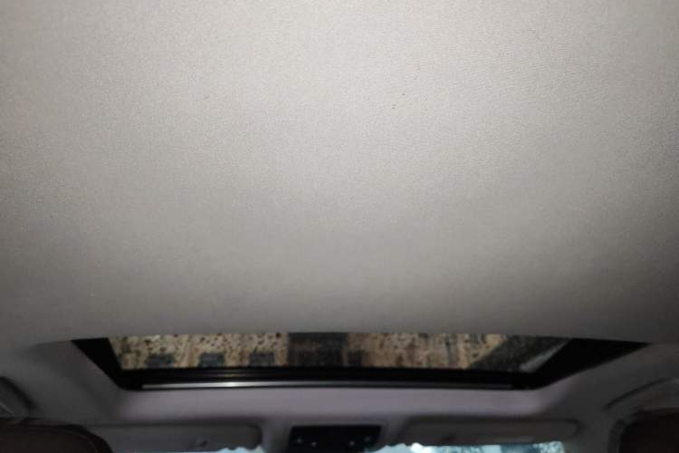Used Lexus RX 2016 450h Four-Wheel Drive Elegant Edition Headliner