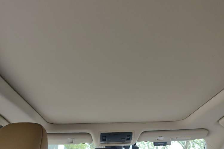 Used Lexus RX 2016 450h Four-Wheel Drive Luxury Edition Headliner