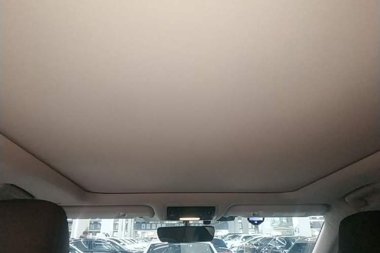 Used Lexus RX 2016 300 4x4 Elegant Edition China VI Headliner