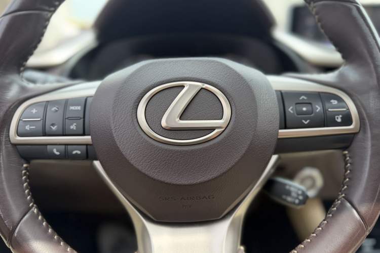 Used Lexus RX 2016 300 Two-Wheel Drive Elite Version China V Standard Interior 9