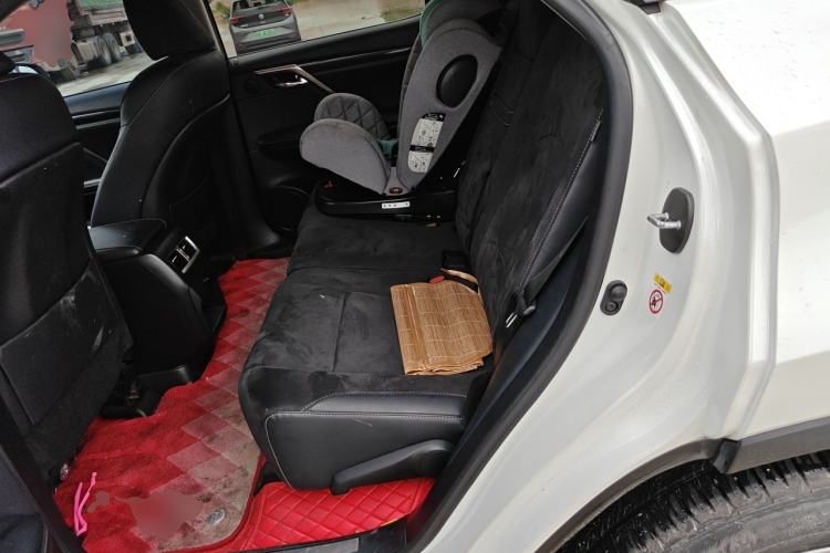 Used Lexus RX 2016 300 Two-Wheel Drive Elite Version China V Standard Left Rear Seat