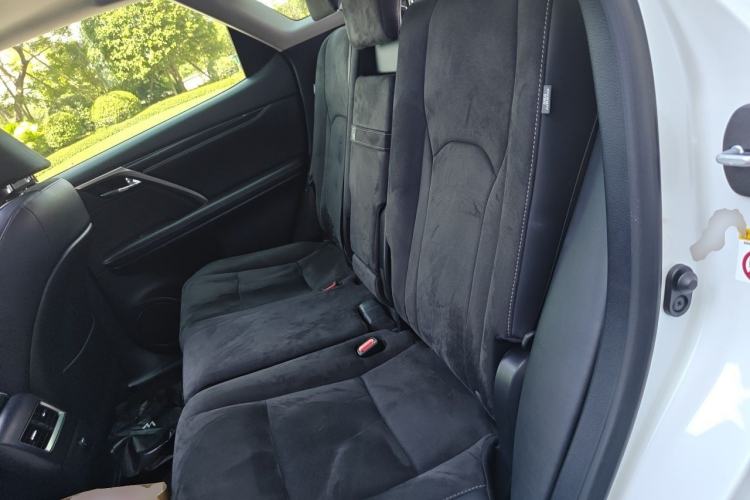 Used Lexus RX 2016 300 Two-Wheel Drive Elite Version China V Standard Left Rear Seat