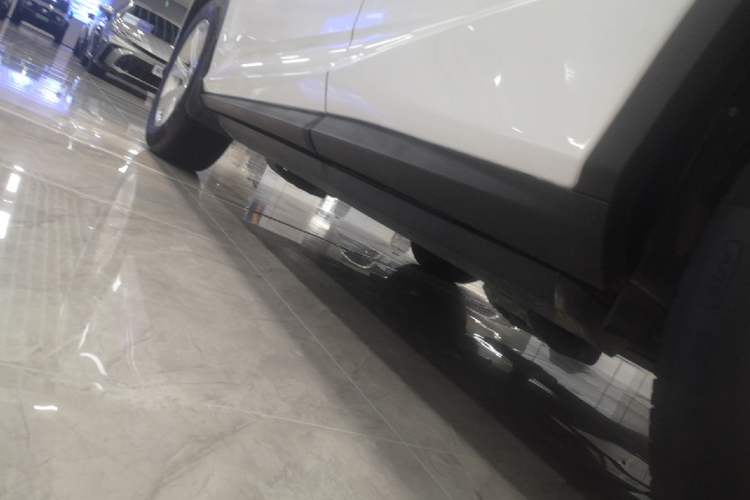 Used Lexus RX 2016 300 Two-Wheel Drive Comfort Edition China V Standard Left Side Sill