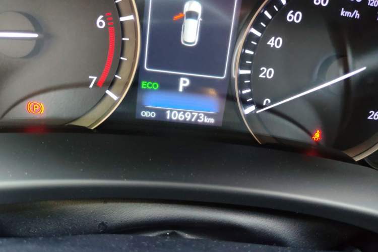 Used Lexus RX 2016 300 Two-Wheel Drive Elite Edition China VI Standard Odometer Close Up