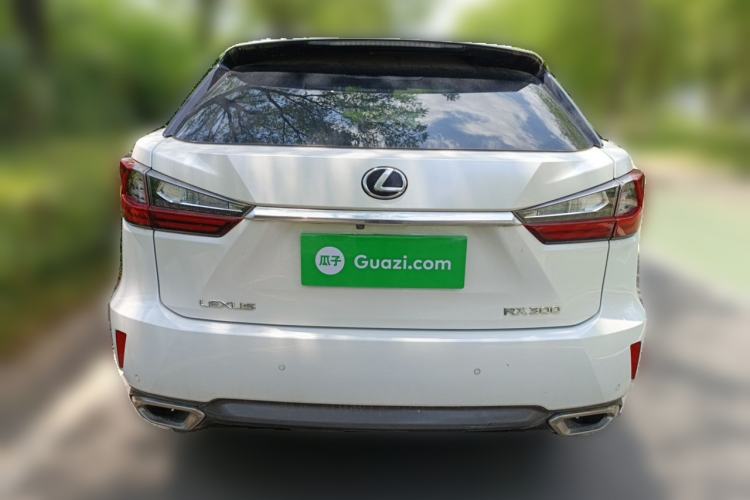 Used Lexus RX 2016 300 4x4 Elegant Edition China VI Rear