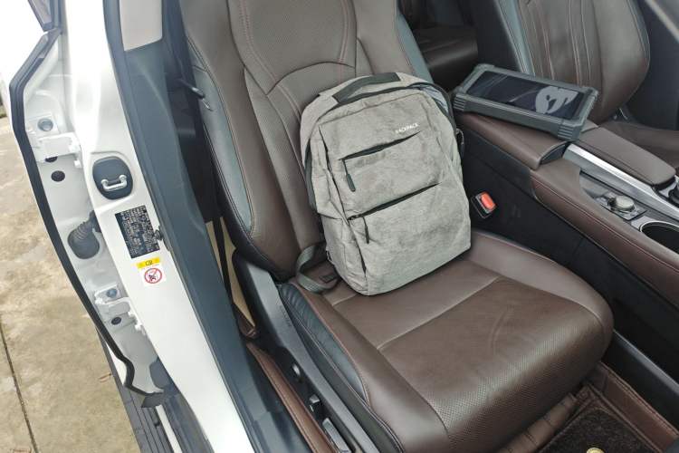 Used Lexus RX 2016 300 4x4 Elegant Edition China V-standard Right Front Seat