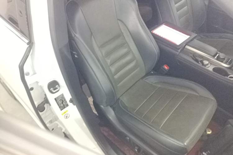 Used Lexus RX 2016 300 4x4 F SPORT Version China V Standard Right Front Seat