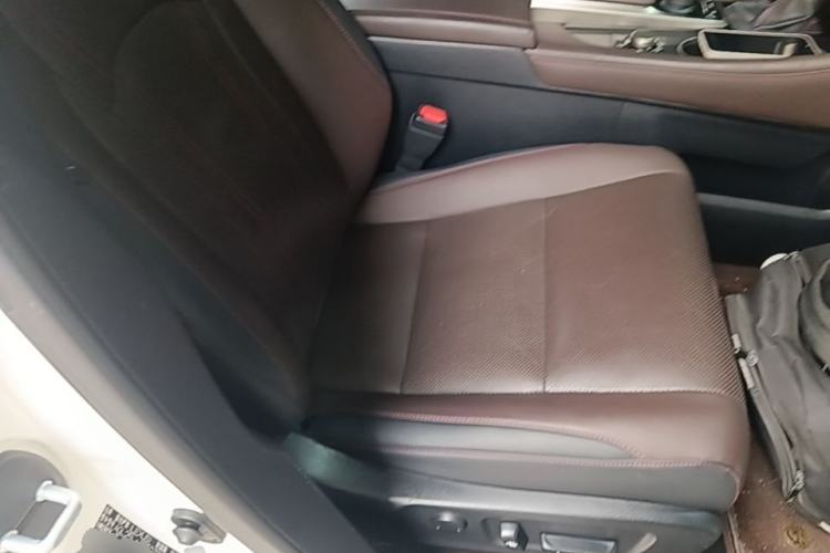 Used Lexus RX 2016 300 4x4 Elegant Edition China V-standard Right Front Seat