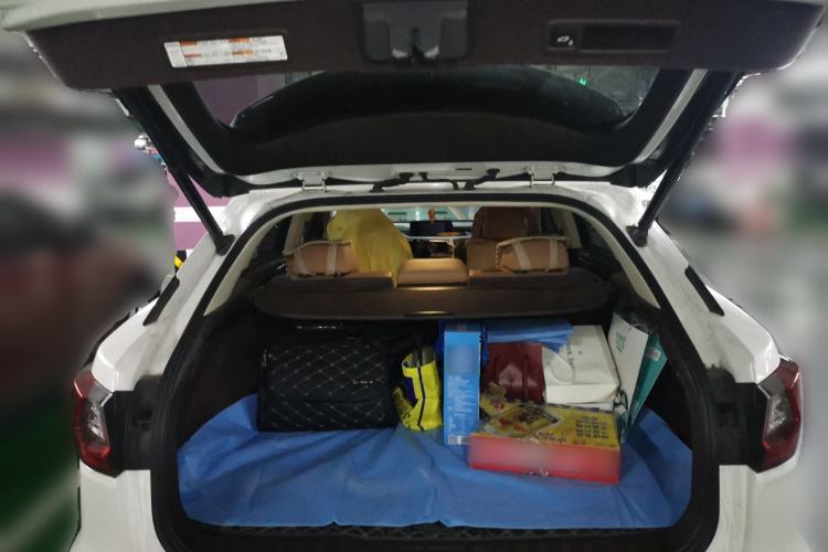 Used Lexus RX 2016 300 4x4 Elegant Edition China V-standard Trunk