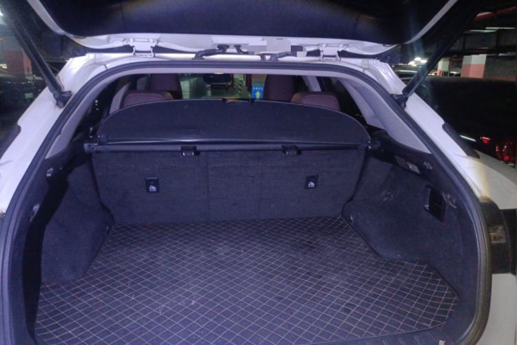 Used Lexus RX 2016 300 Two-Wheel Drive Comfort Edition China V Standard Trunk