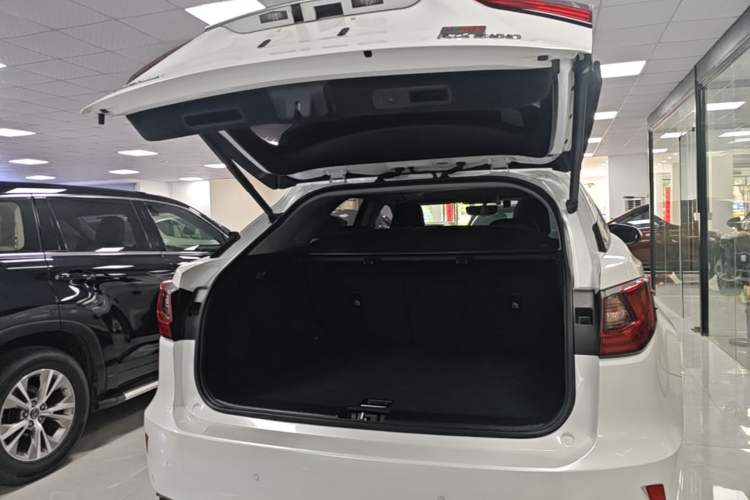 Used Lexus RX 2016 300 Two-Wheel Drive Elite Version China V Standard Trunk