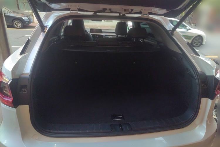 Used Lexus RX 2016 300 4x4 Elegant Edition China V-standard Trunk