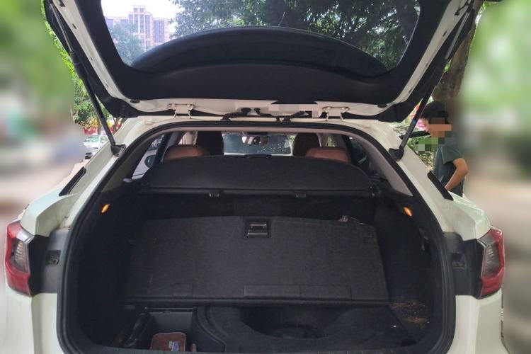 Used Lexus RX 2016 300 Two-Wheel Drive Elite Version China V Standard Trunk