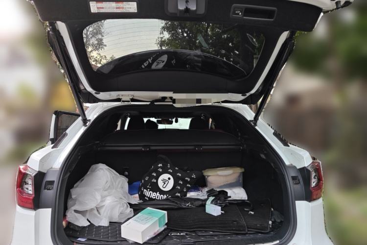 Used Lexus RX 2016 300 4x4 F SPORT Version China V Standard Trunk