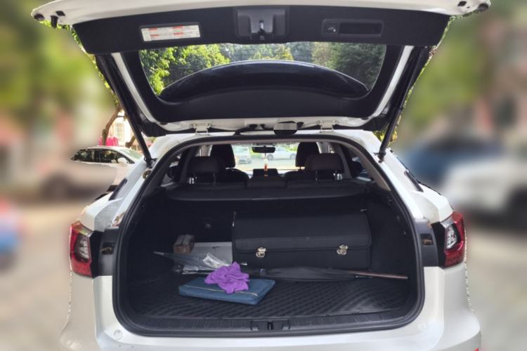 Used Lexus RX 2016 300 4x4 Elegant Edition China V-standard Trunk