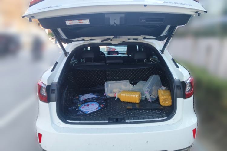 Used Lexus RX 2016 300 4x4 F SPORT Version China V Standard Trunk