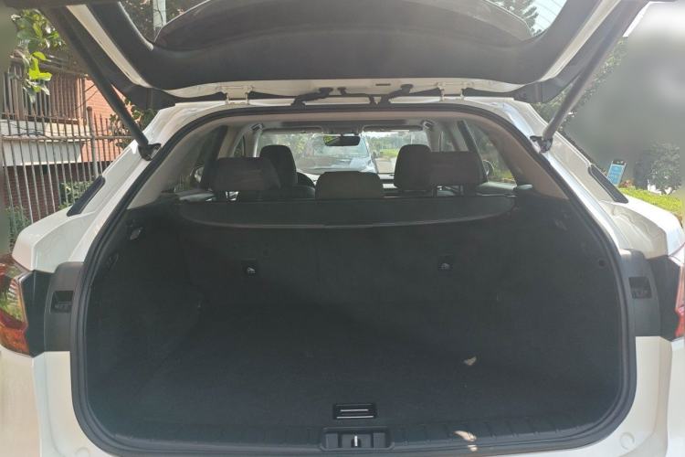 Used Lexus RX 2016 300 Two-Wheel Drive Elite Version China V Standard Trunk