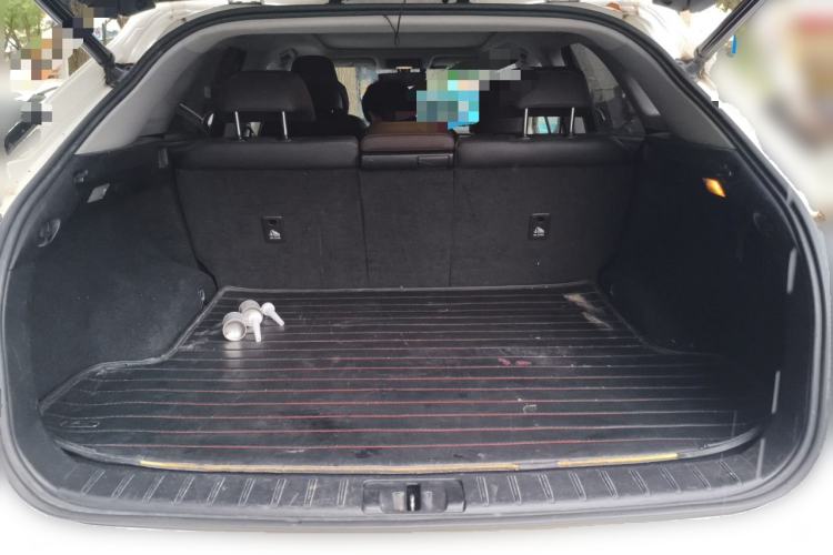 Used Lexus RX  Trunk