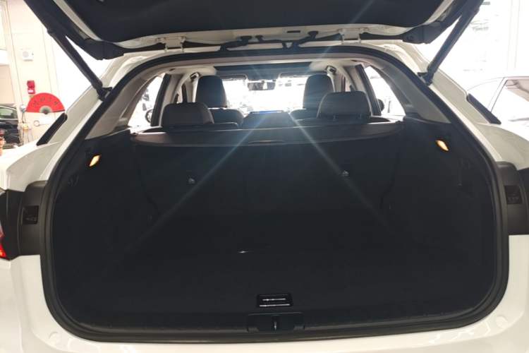 Used Lexus RX 2016 300 4x4 Elegant Edition China V-standard Trunk