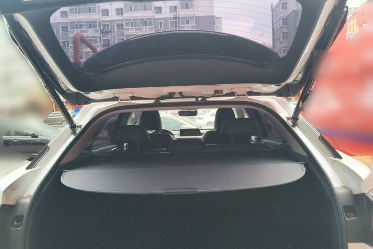 Used Lexus RX 2016 300 4x4 Elegant Edition China VI Trunk