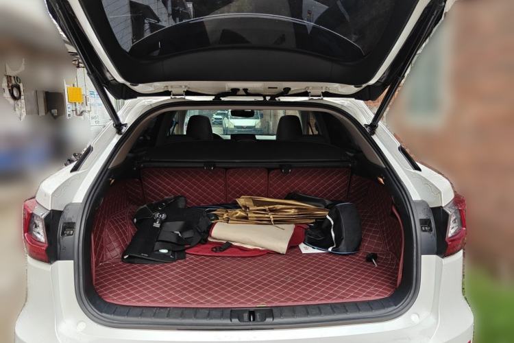 Used Lexus RX 2016 300 4x4 Elegant Edition China V-standard Trunk