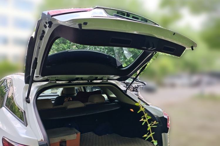 Used Lexus RX 2016 300 Two-Wheel Drive Elite Version China V Standard Trunk