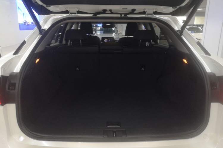 Used Lexus RX 2016 300 Two-Wheel Drive Comfort Edition China V Standard Trunk