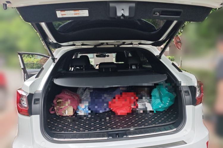 Used Lexus RX 2016 300 4x4 F SPORT Version China VI Standard Trunk