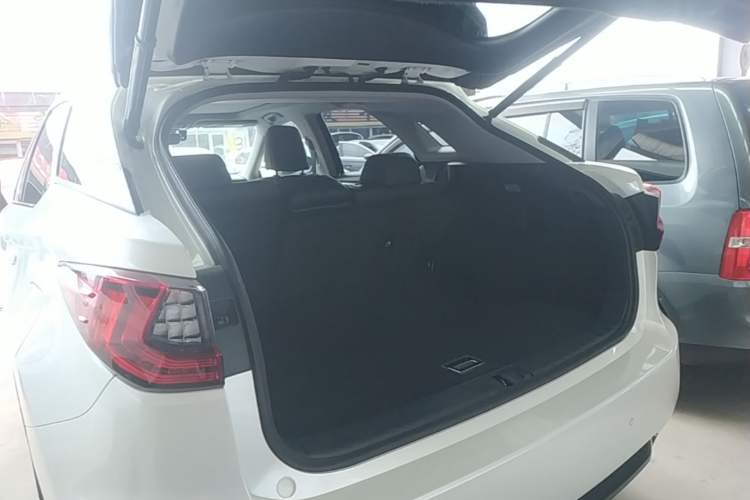 Used Lexus RX 2016 300 4x4 Elegant Edition China V-standard Trunk