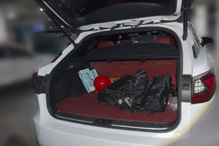 Used Lexus RX 2016 300 4x4 F SPORT Version China V Standard Trunk