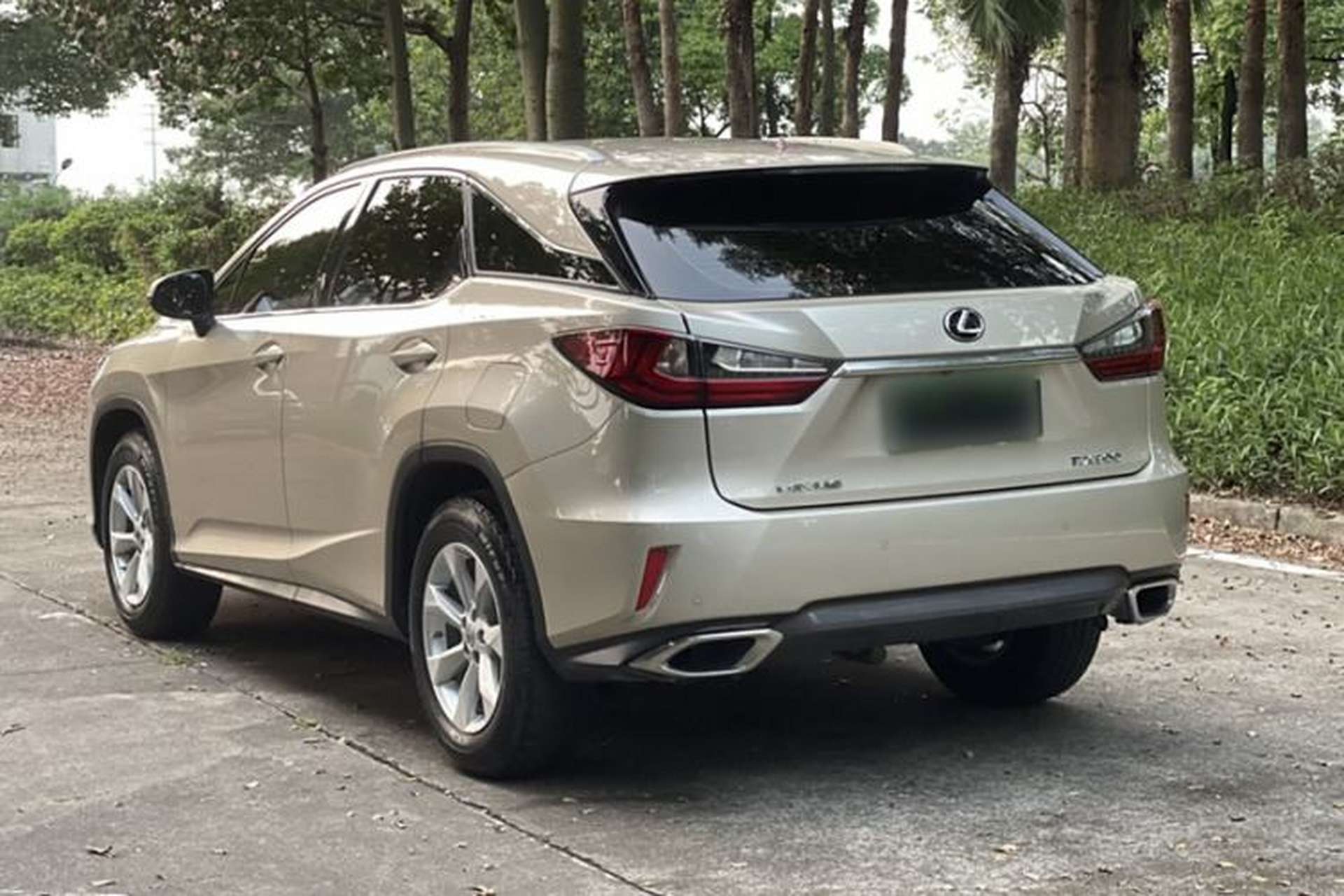Used Lexus RX 2016 300 Two-Wheel Drive Comfort Edition China V Standard Exterior 6
