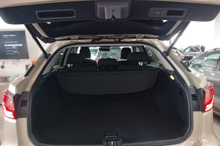 Used Lexus RX 2016 300 Two-Wheel Drive Elite Version China V Standard Trunk