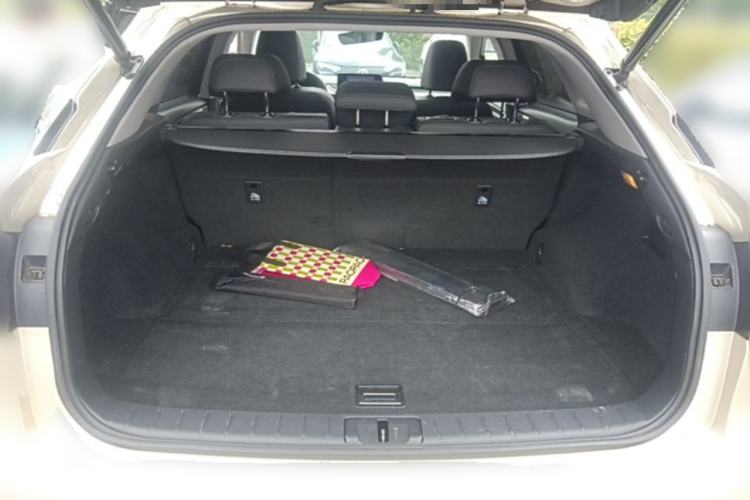 Used Lexus RX 2016 300 4x4 Elegant Edition China V-standard Trunk