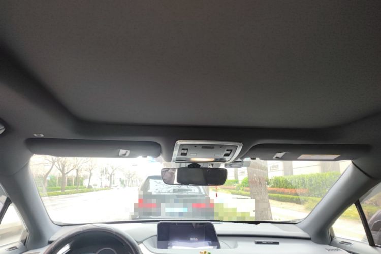Used Lexus RX  Headliner