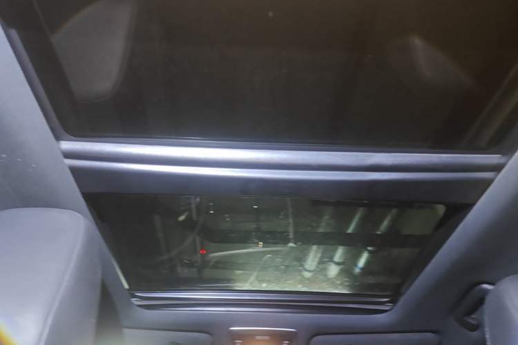 Used Lexus RX  Headliner