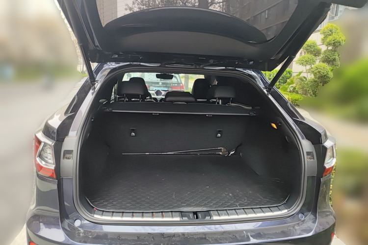 Used Lexus RX  Trunk