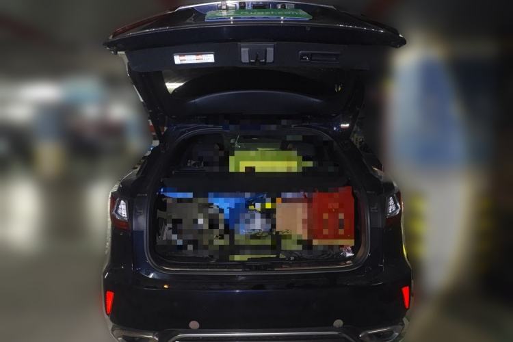 Used Lexus RX  Trunk