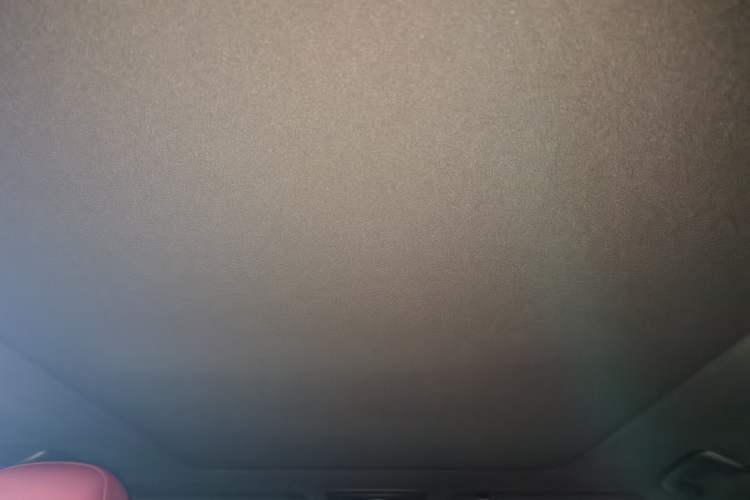 Used Lexus RX 2017 300 with Mark Levinson 4x4 F SPORT Version China VI Standard Headliner